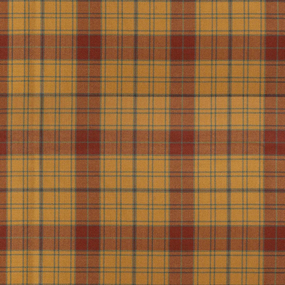 Glen Affric Remnant 200cm x 35cm Glen Affric Remnant 200cm x 35cm