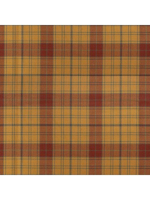 Glen Affric Remnant 30cm x 200cm