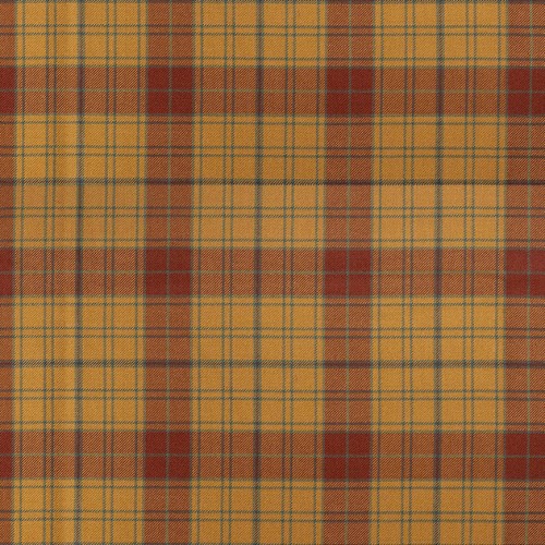 Glen Affric Remnant 60cm x 110cm