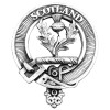 Carrick Thistle Cap Badge 